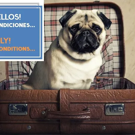 Atico Del Romantico Gaditano By Cadiz4rentals Cadix