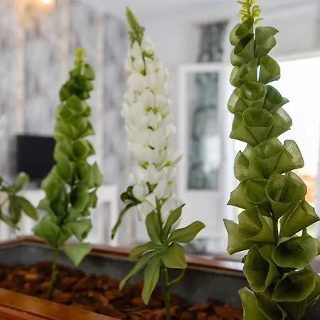 Atico Del Romantico Gaditano By Cadiz4rentals *