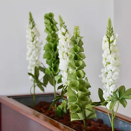 아파트 Atico Del Romantico Gaditano By Cadiz4rentals *