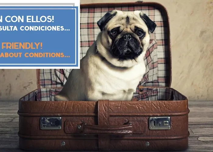 Atico Del Romantico Gaditano By Cadiz4rentals Cadiz