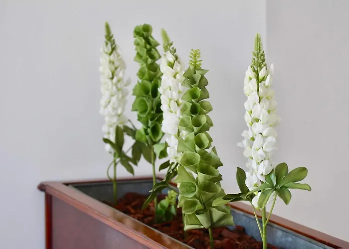 Apartment Atico Del Romantico Gaditano By Cadiz4rentals *